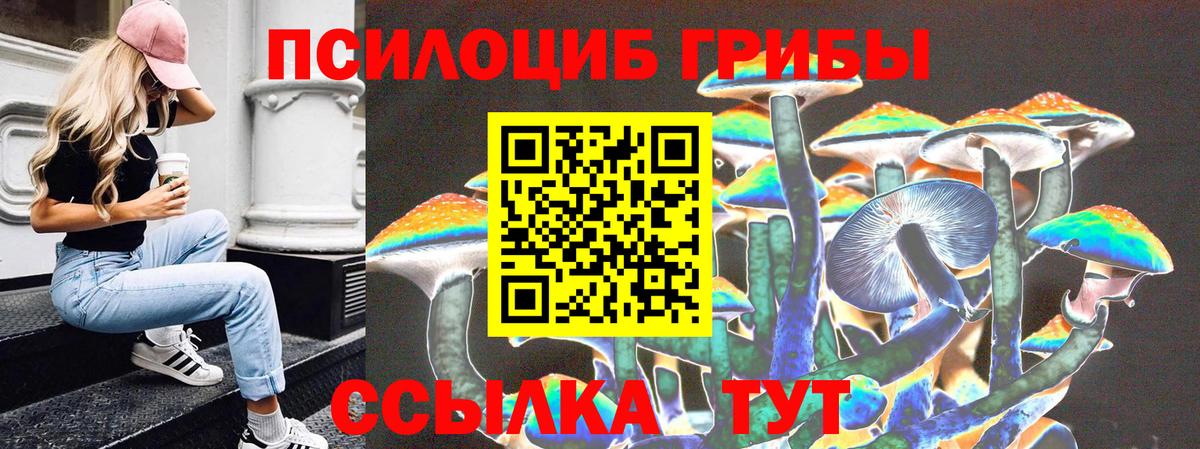 как найти   Галлюциногенные грибы прущие грибы  Вход с VPN  Дальнегорск  Псилоцибиновые грибы мицелий 